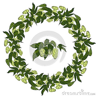 Wreath of leaves and cones of hops Vector Illustration